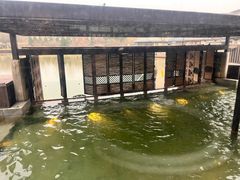 -春晖园度假酒店温泉