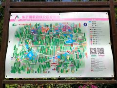 -东平国家森林公园