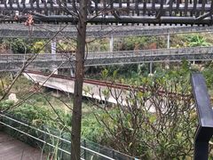 -梅峰山地公园