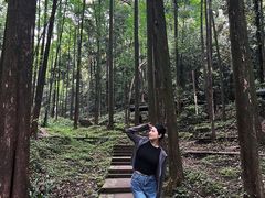 -凤栖山