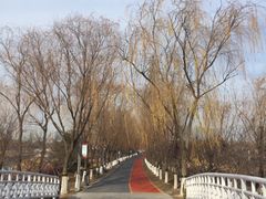 -大兴滨河森林公园