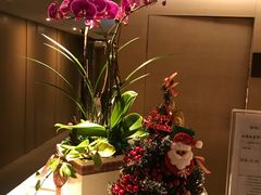 -台北北投丽禧温泉酒店