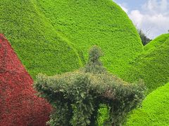 -沈阳植物园