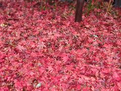 -崂山九水游览区