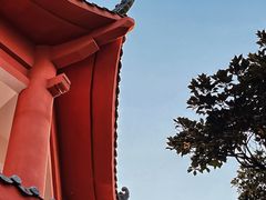 -梧桐山风景名胜区