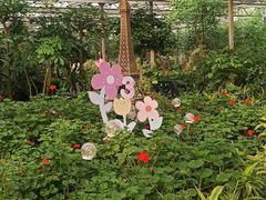 -南宫五洲植物乐园