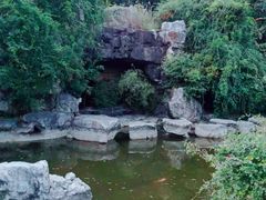 -上海吴淞炮台湾国家湿地公园