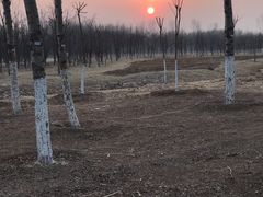 -东郊湿地公园