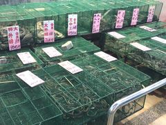 -荔城生鲜盛宴(番禺旗舰店)
