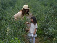 -金谷域澳洲庄园