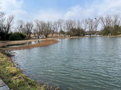 -西溪国家湿地公园