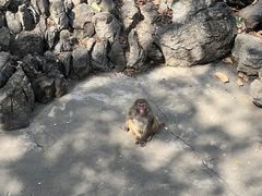 -攀枝花公园