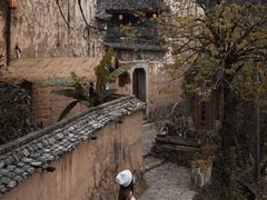 -杨家堂村