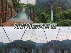 -川西竹海景区
