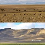三次新疆、一次阿里、一次川西，2020旅行之约完美落幕！
