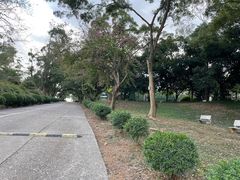 -南宁良凤江国家森林公园