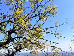 -香山公园