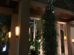 -三亚湾红树林度假世界(木棉酒店)
