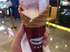 -哈根达斯(天河城店)