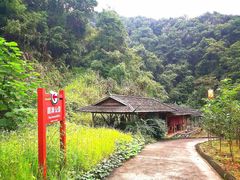 -韶关经律论国际酒店温泉