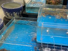 -金稼园·金平湖农家菜
