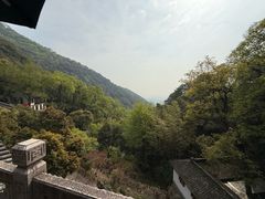 -韬光茶庵
