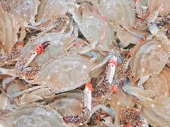 -孙家码头海鲜自助美食城
