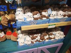 -秦皇岛乐岛海洋王国