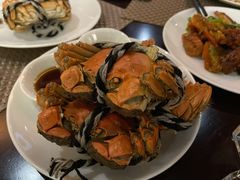 -339旋转餐厅(天府熊猫塔店)