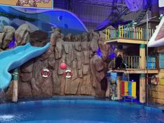 -烟台海昌鲸鲨海洋公园