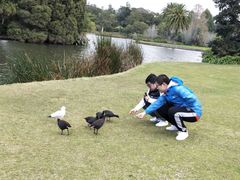 -墨尔本皇家植物园
