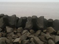 -南汇嘴观海公园