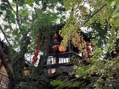 -钦善斋(武侯祠店)