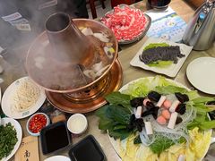 -南来顺饭庄·清真(南菜园店)