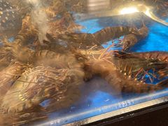 -亚马逊海鲜自助(王府井店)