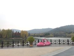 -苏州上方山国家森林公园