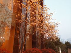 -浙江三立开元名都大酒店
