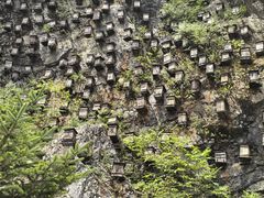 -神农架景区