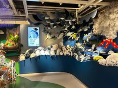 -宜家家居(四元桥商场店)