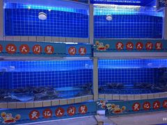 水产区-黄记大闸蟹专卖店·活蟹·醉蟹