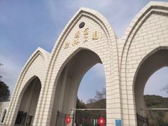-上海佘山国家森林公园东门地面停车场
