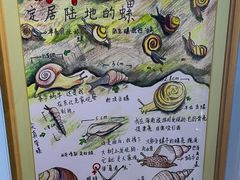 -上海昆虫博物馆