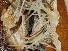 -丹江渔村(望京店)