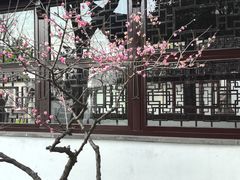 -五峰园