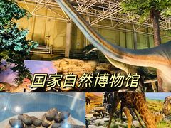 -中国国家博物馆