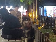 -艺漫酒店(苏州寒山寺狮山路地铁站店)