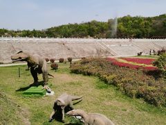 -中国西峡恐龙遗迹园