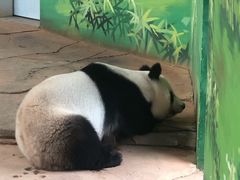 -二一九公园