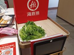 -海底捞大排档火锅(打浦路店)