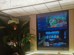 -芸山季·云南山珍菌火锅(南翔印象城MEGA店)